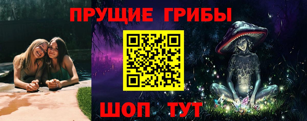 Псилоцибиновые грибы мицелий Шали