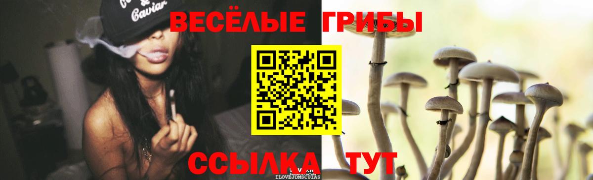 Cocaine Шали